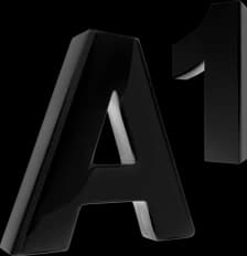 A1