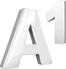 A1